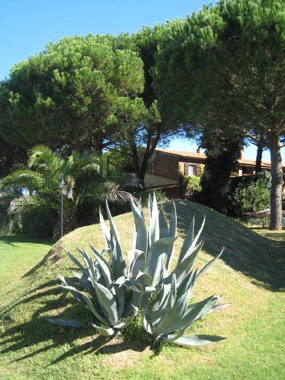 Apartament Casa Terra Rossa Fauglia Zewnętrze zdjęcie
