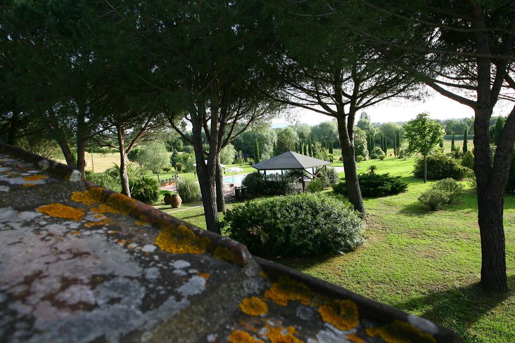 Apartament Casa Terra Rossa Fauglia Zewnętrze zdjęcie